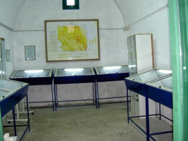 Cutrofiano, Museo malacologico delle Argille e parco dei fossili Cutrofiano, Museo malacologico delle Argille e parco dei fossili