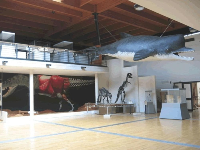 Lecce, Museo dell'Ambiente (Storia della Scienza e della Natura)