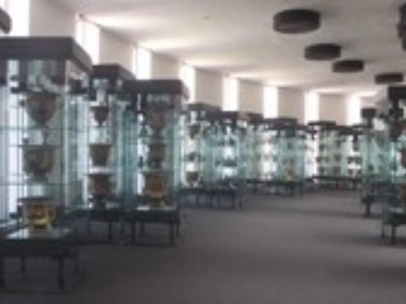 Lecce, Museo provinciale Sigismondo Castromediano Lecce, Museo provinciale Sigismondo Castromediano