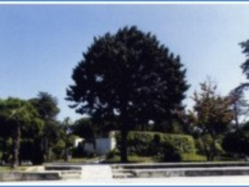 Poggiardo, Museo degli affreschi della cripta di S.Maria degli Angeli  Poggiardo, Museo degli affreschi della cripta di S.Maria degli Angeli