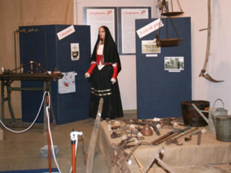 Museo Museo