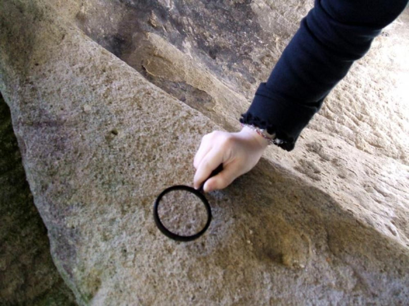 MUSEO DEI CULTI ARBOOREI