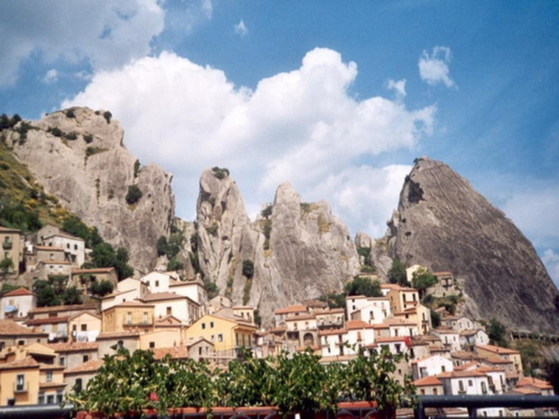 MUSEO DEI CULTI ARBOOREI