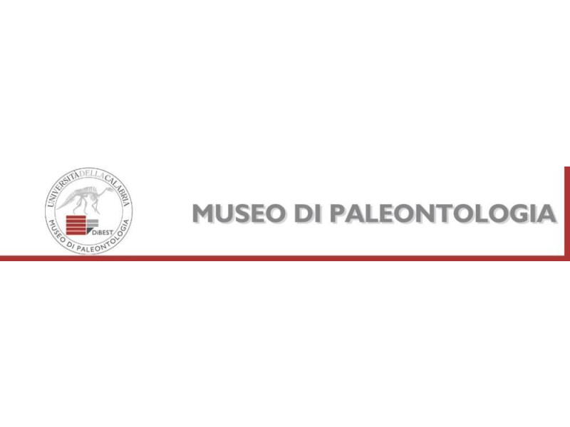 Museo di Paleontologia Museo di Paleontologia