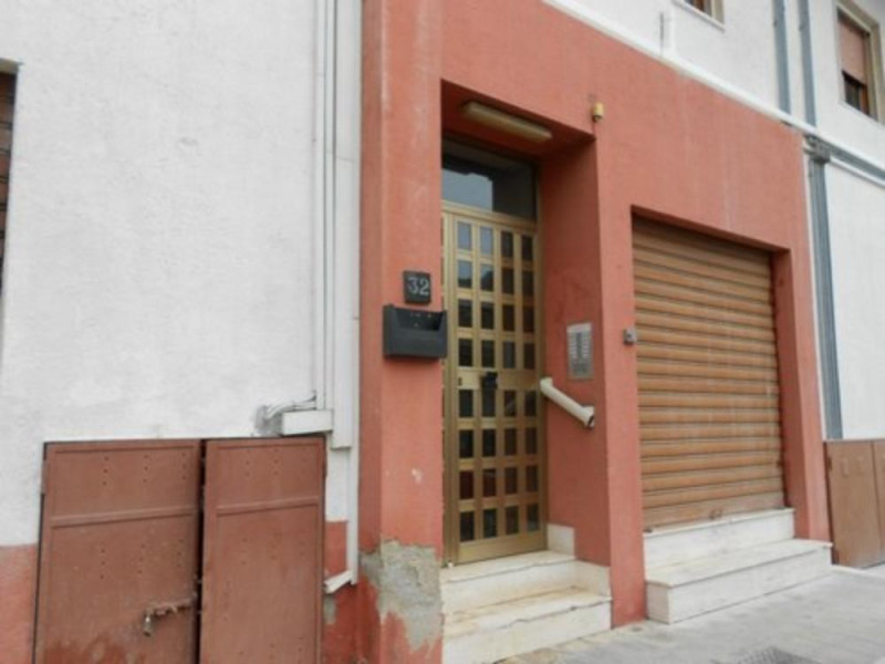 Museo Paleomarino Museo Paleomarino