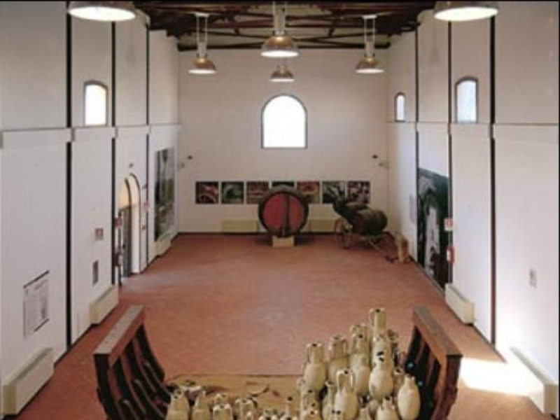 Museo Museo