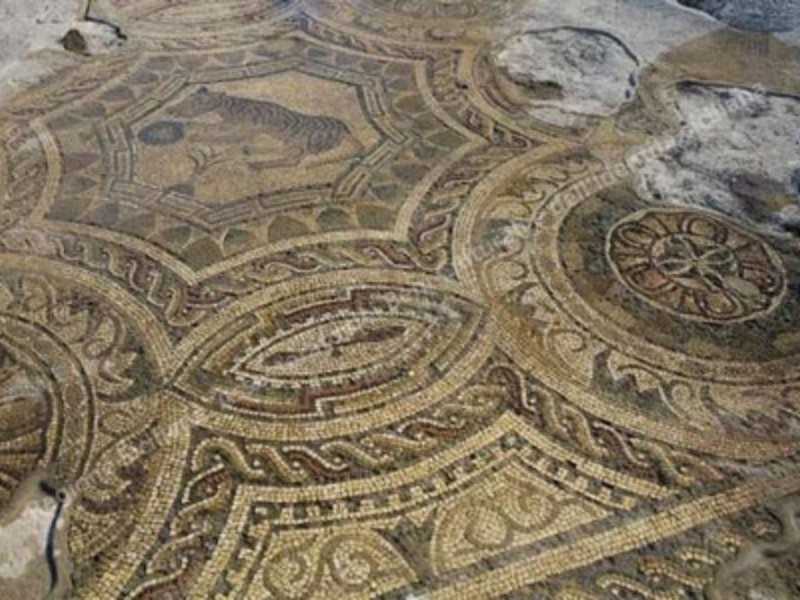 antiquarium antiquarium