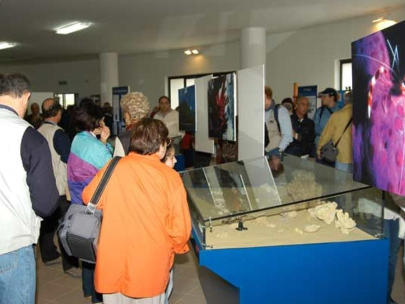Museo comunale Museo comunale