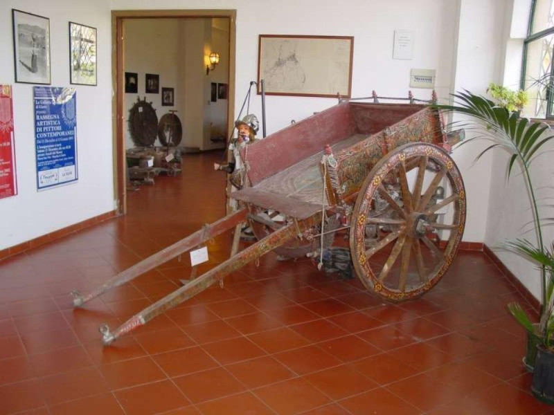 Museo Museo