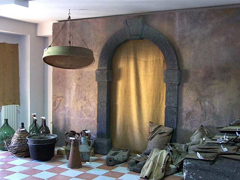 Museo della vite e del vino Museo della vite e del vino