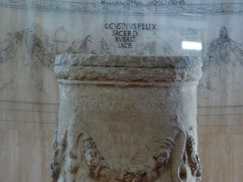 Porto Torres, Antiquarium Turritano