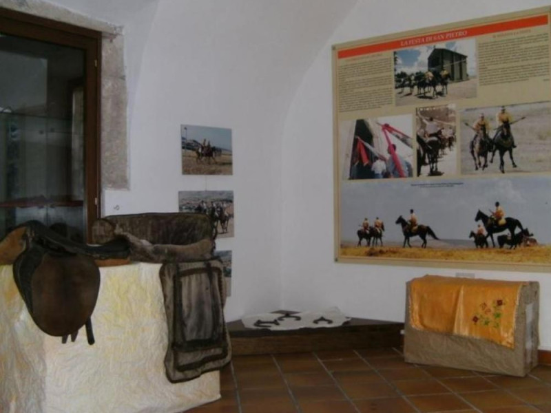 Museo del cavallo Museo del cavallo