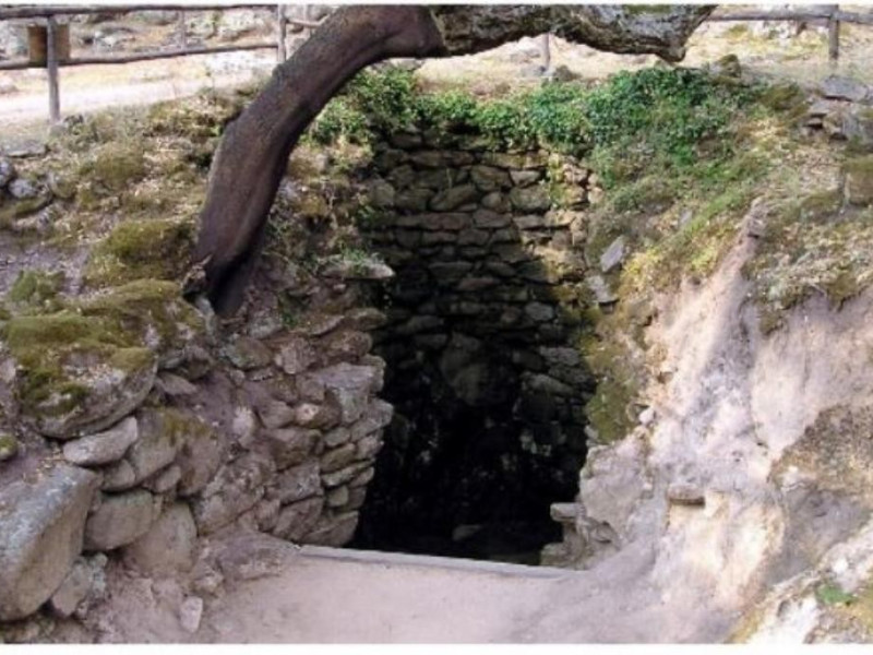 Immagine descrittiva -  Immagine descrittiva -