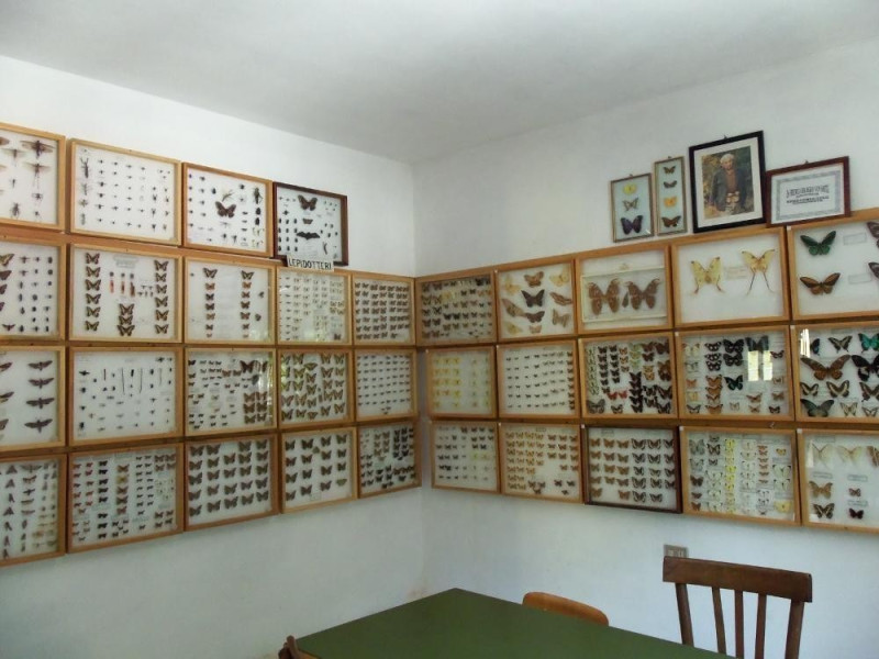 MUSEO DI SCIENZE NATURALI BELVI' MUSEO DI SCIENZE NATURALI BELVI'