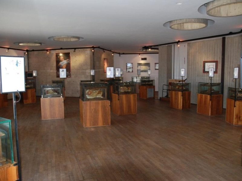 museo museo