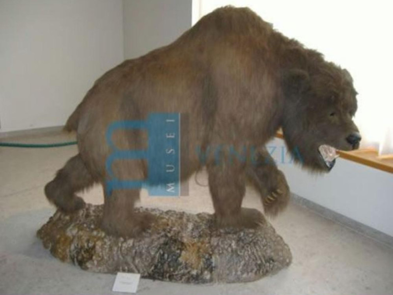 Museo della grotta Museo della grotta