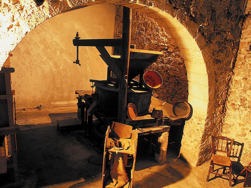 Immagine descrittiva -  Immagine descrittiva -