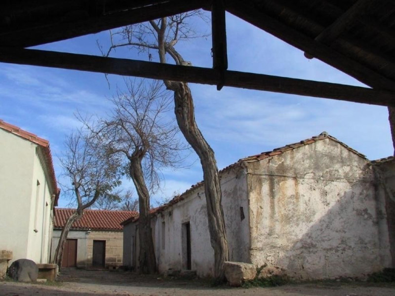Cabras, Ipogeo di San Salvatore Cabras, Ipogeo di San Salvatore
