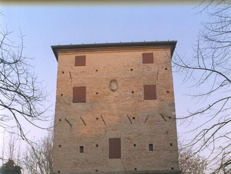 Bellaria Igea Marina, Museo delle Conchiglie