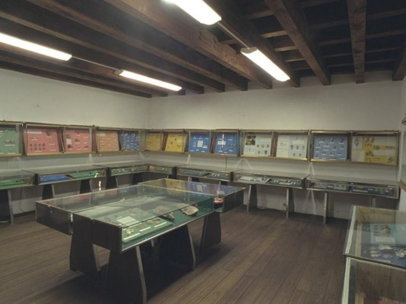 Bellaria Igea Marina, Museo delle Conchiglie