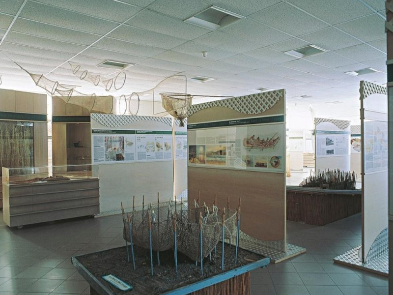 Coriano, Antiquarium Malatestiano Coriano, Antiquarium Malatestiano