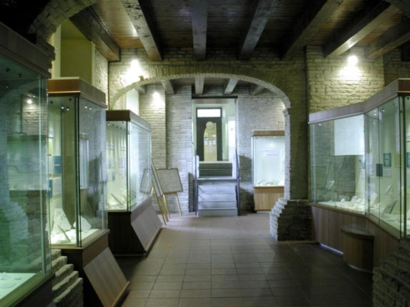 Mondaino, Museo Paleontologico Comunale