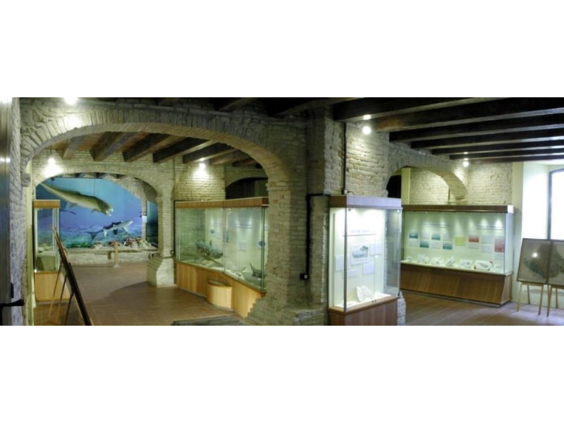 Mondaino, Museo Paleontologico Comunale