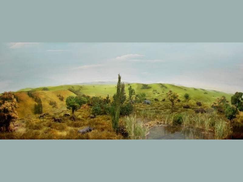 Riccione, Museo del Territorio Riccione, Museo del Territorio