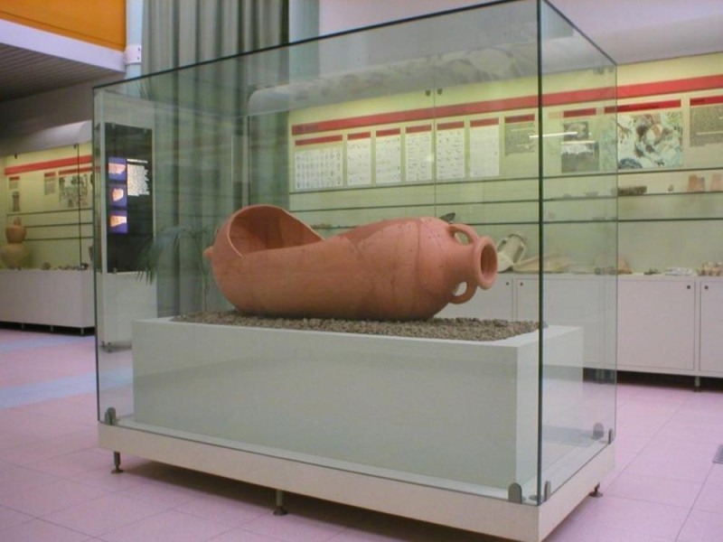 Riccione, Museo del Territorio Riccione, Museo del Territorio