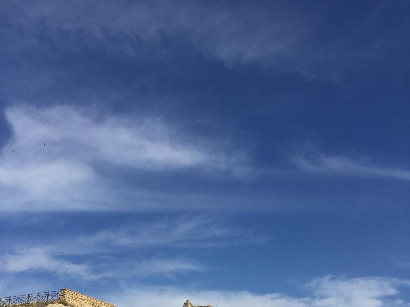 Immagine descrittiva -  Immagine descrittiva -