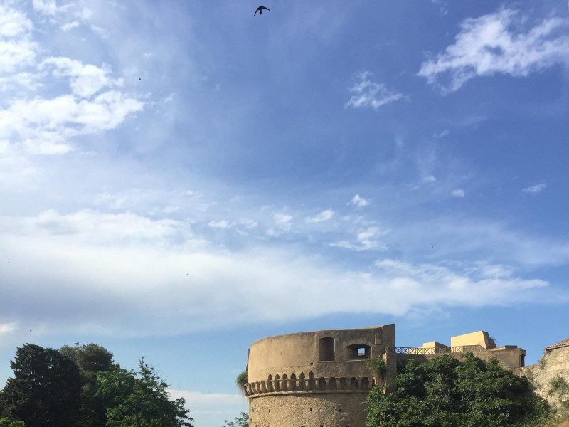 Immagine descrittiva -  Immagine descrittiva -