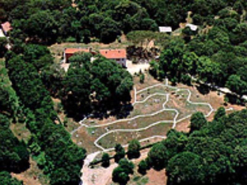 foresta demaniale foresta demaniale
