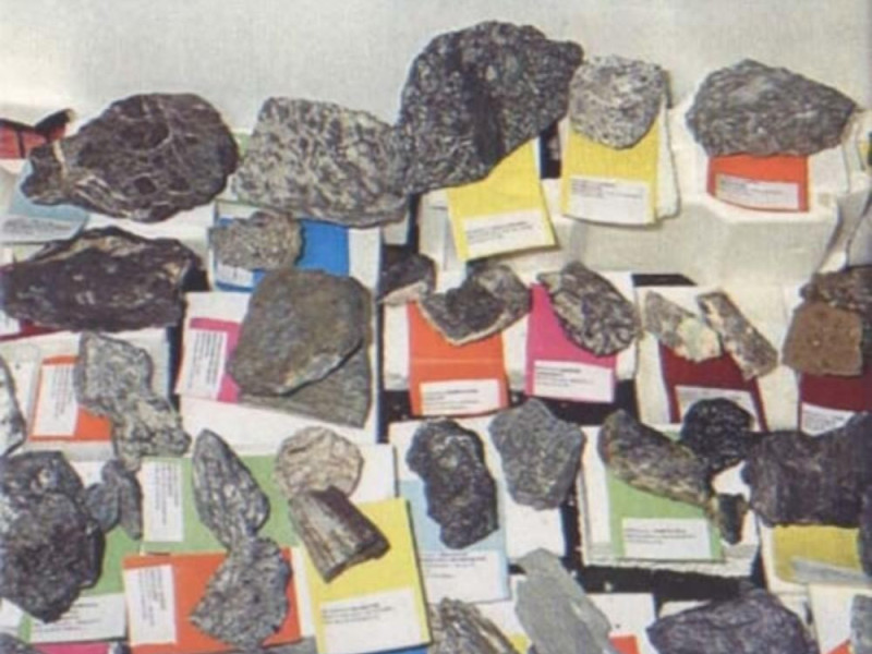 Fossili_Raccolta_minerali_e_rocce Fossili_Raccolta_minerali_e_rocce