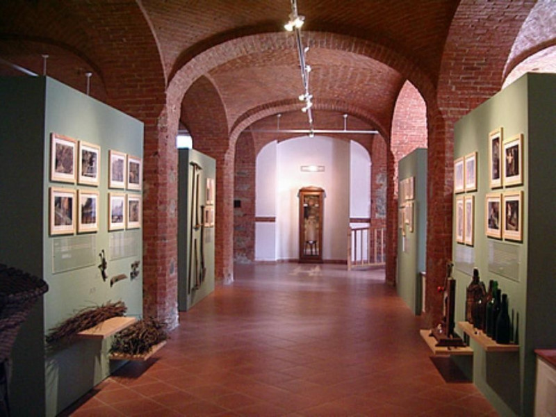 Museo Museo