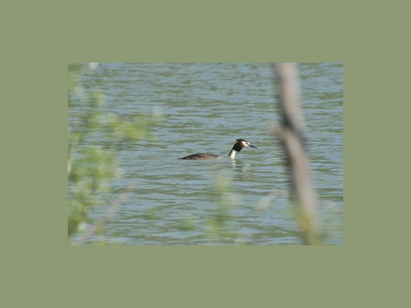 Immagine descrittiva - CC BY-SA Di Arcsic - Opera propria, CC BY-SA 3.0, https://commons.wikimedia.org/w/index.php?curid=21336787