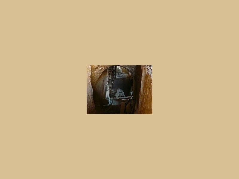 Immagine descrittiva -  Immagine descrittiva -