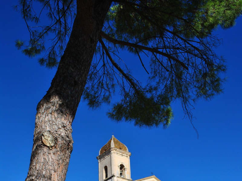 Chiesa di San Francesco di Paola Chiesa di San Francesco di Paola