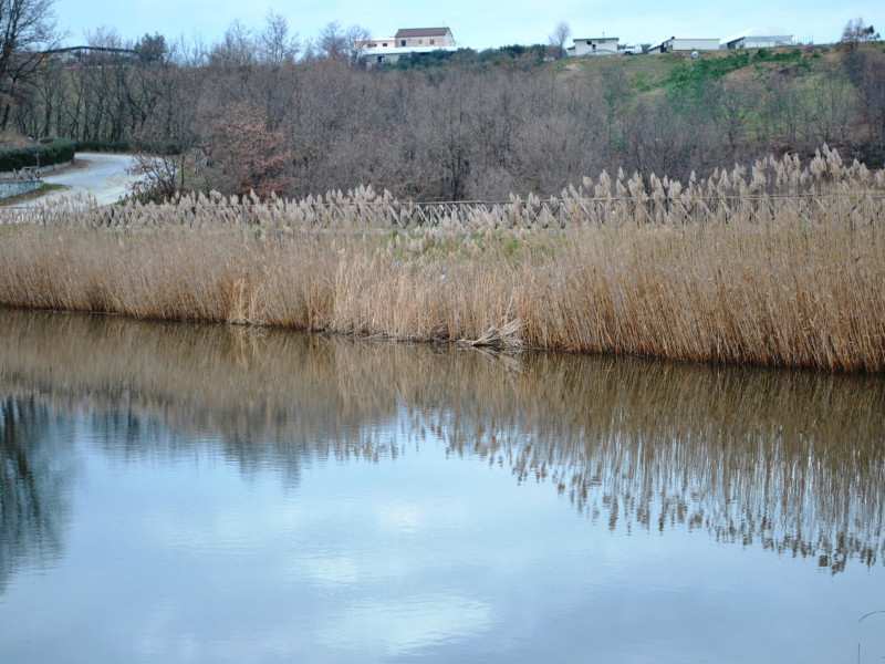 Immagine descrittiva -  Immagine descrittiva -