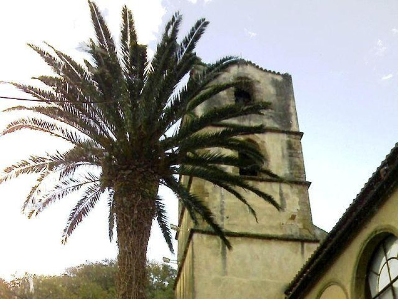 Immagine descrittiva -  Immagine descrittiva -