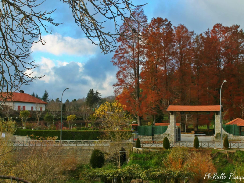 Immagine descrittiva - P. Rullo Immagine descrittiva - P. Rullo