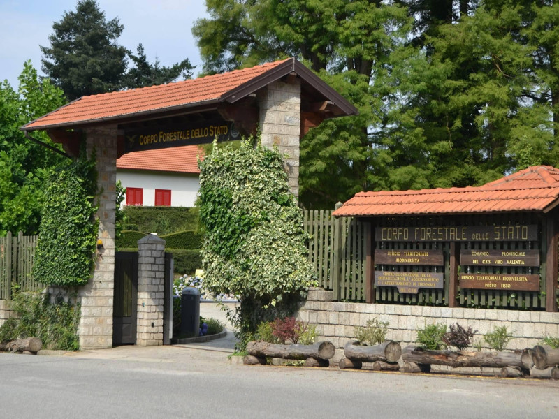 Immagine descrittiva - P. Rullo Immagine descrittiva - P. Rullo