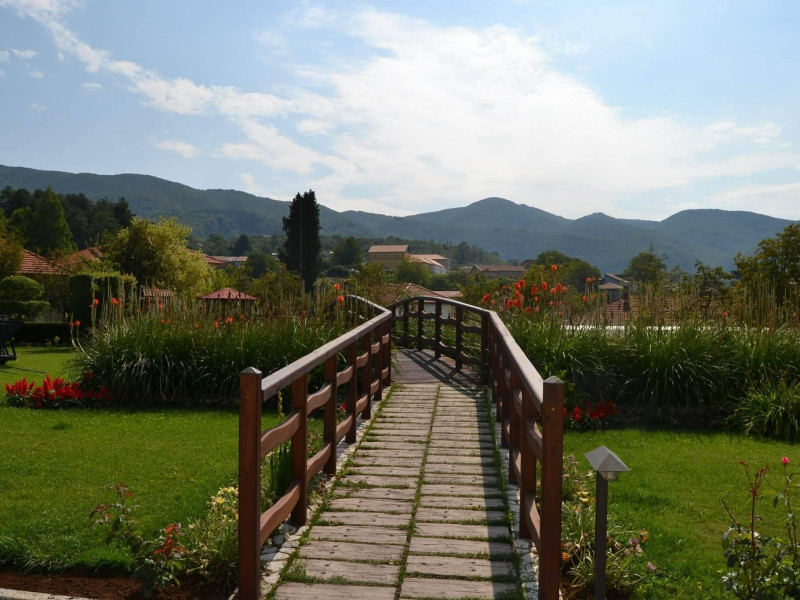 Immagine descrittiva - P. Rullo Immagine descrittiva - P. Rullo