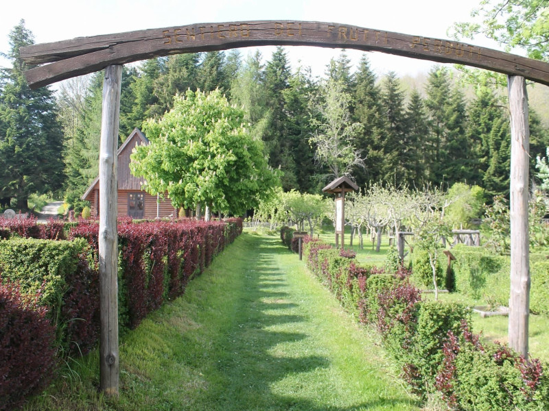 Immagine descrittiva - P. Rullo Immagine descrittiva - P. Rullo