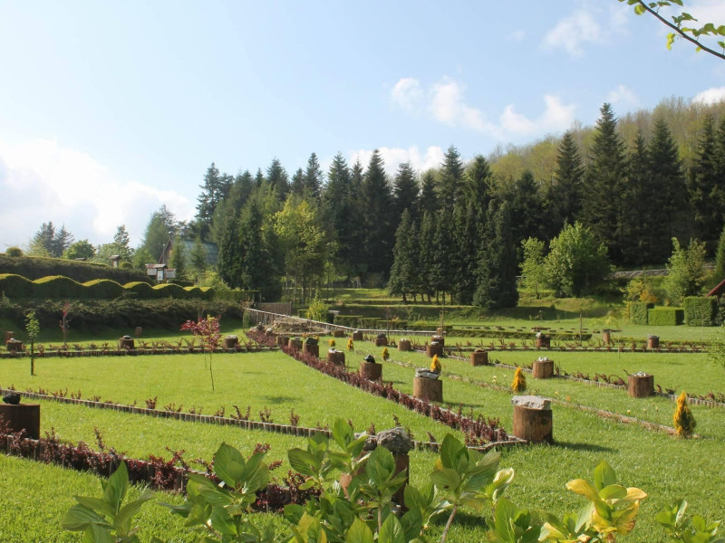 Immagine descrittiva - P. Rullo Immagine descrittiva - P. Rullo