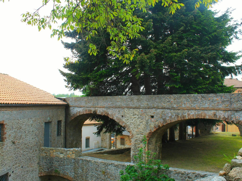 Immagine descrittiva - P. Rullo Immagine descrittiva - P. Rullo