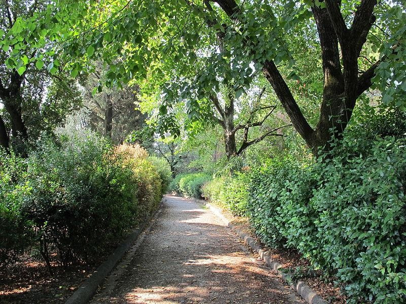 Villa Strozzi: Parco