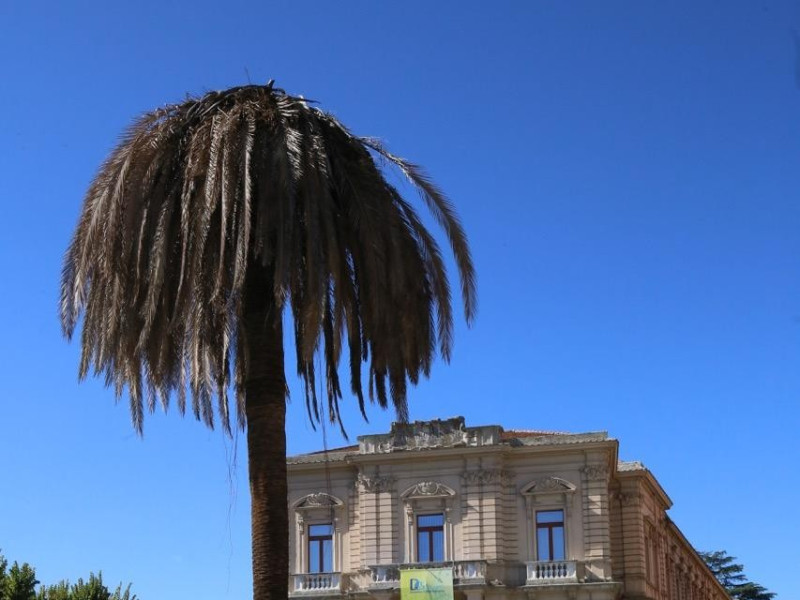 Immagine descrittiva - 