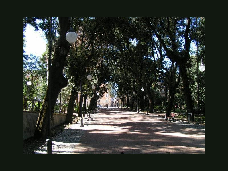 Immagine descrittiva - 