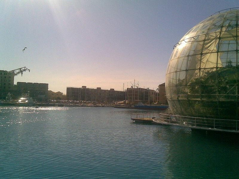 Immagine descrittiva - 