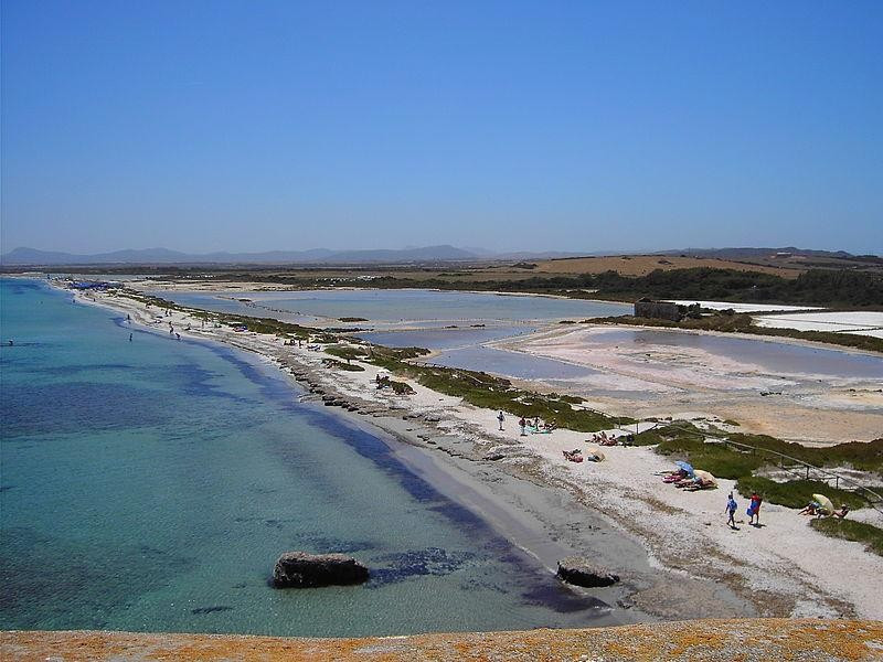 Saline Saline